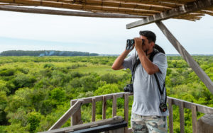 Guia de observação de aves no Extremo Sul do Brasil