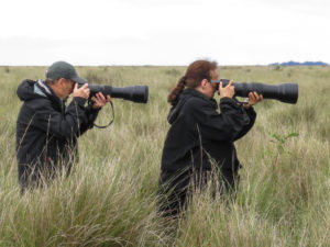 AVES DO SUL - Observação de Aves no RS